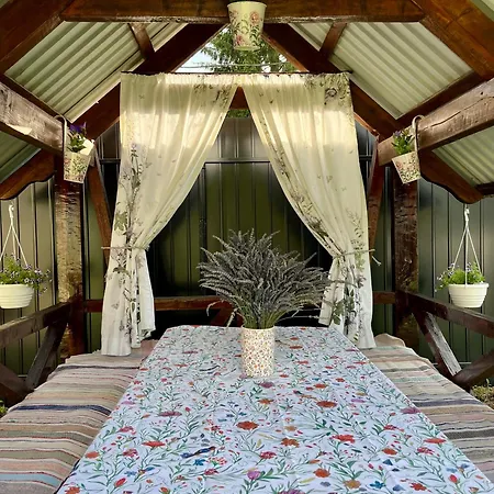 у лариси Apartment Solochin